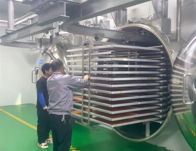 Operation video of freeze dryer